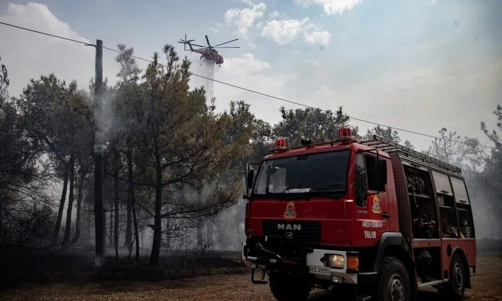 Εύβοια: Φωτιά σε δύσβατη περιοχή στην Πλατάνα